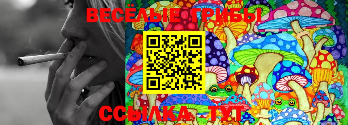 Галлюциногенные грибы мухоморы Клинцы