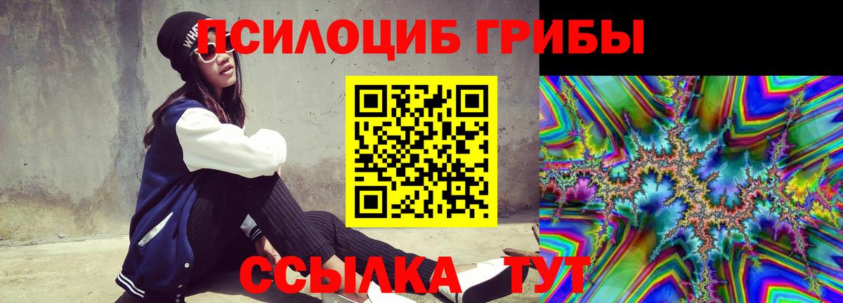 Галлюциногенные грибы Psilocybine cubensis  Вход с VPN  Клинцы 